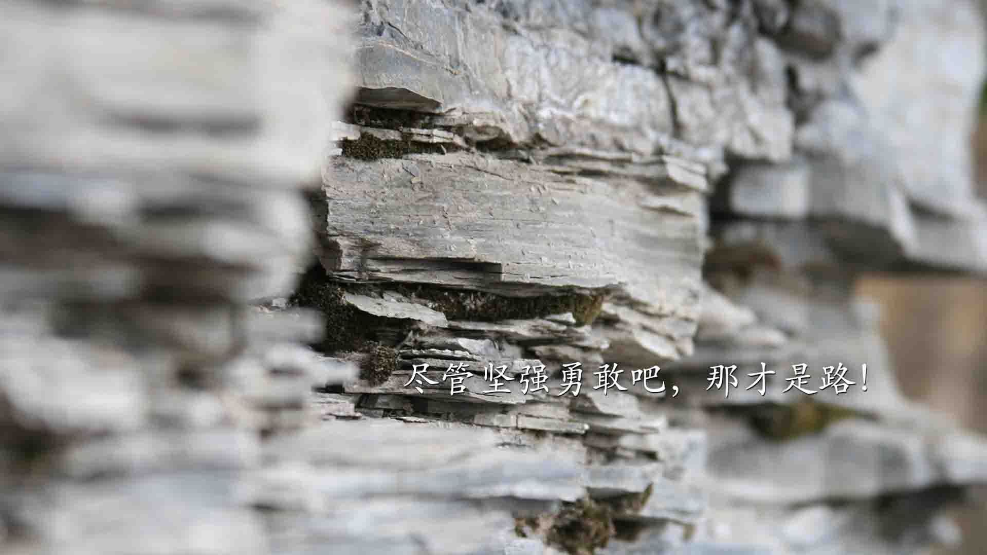 开云体育app网页版安全-中小学体育教师培训机制逐步完善，中小学体育教师培训机制逐步完善的原因