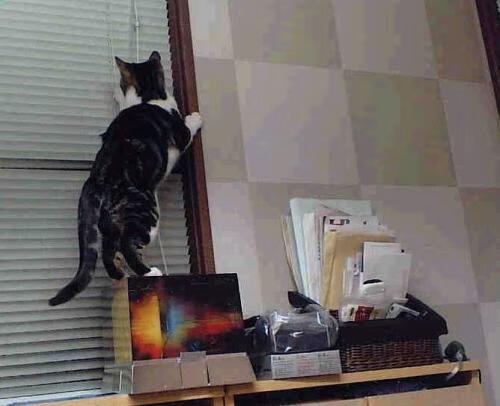 开yun体育-体育新闻中心推动体育赛事多语言直播技术研发，播放体育新闻