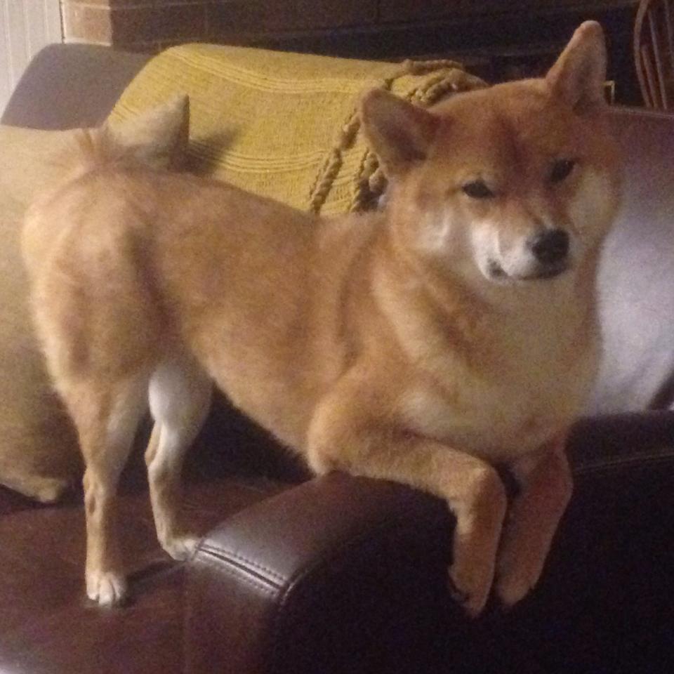 开云官网在线-国际热身赛U23国足夺冠 球迷高呼荣耀归来，6月2日国足热身