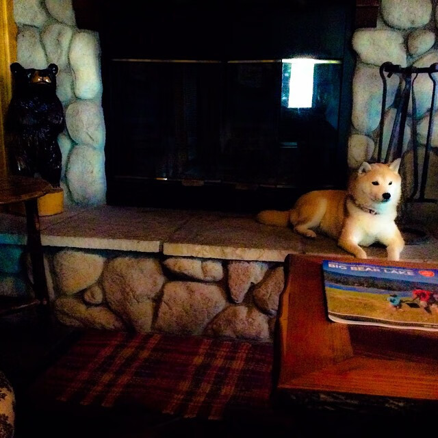 中国足球职业俱乐部球员健康管理制度创新,足球运动员管理系统