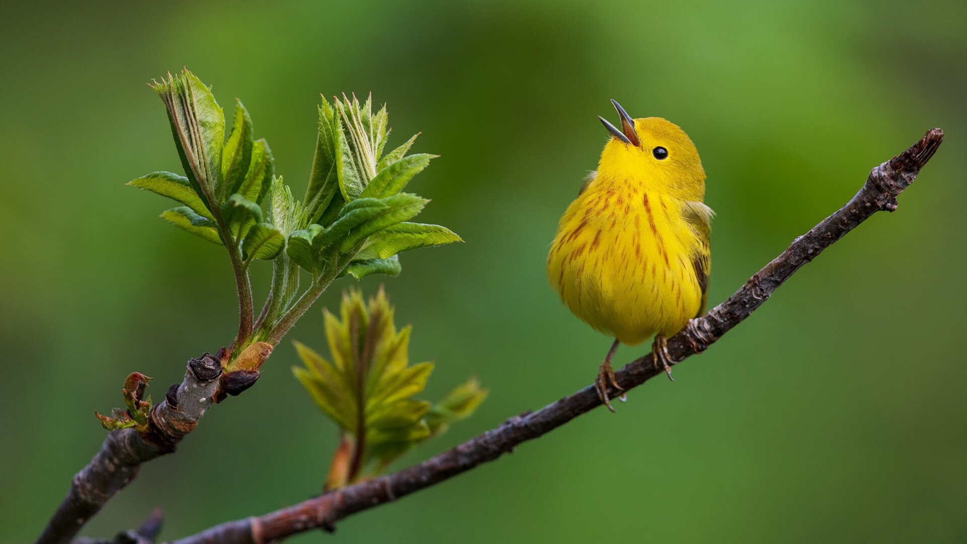 中国足球青少年足球教练员实战技能培训加强，中国业余足球教练员培训