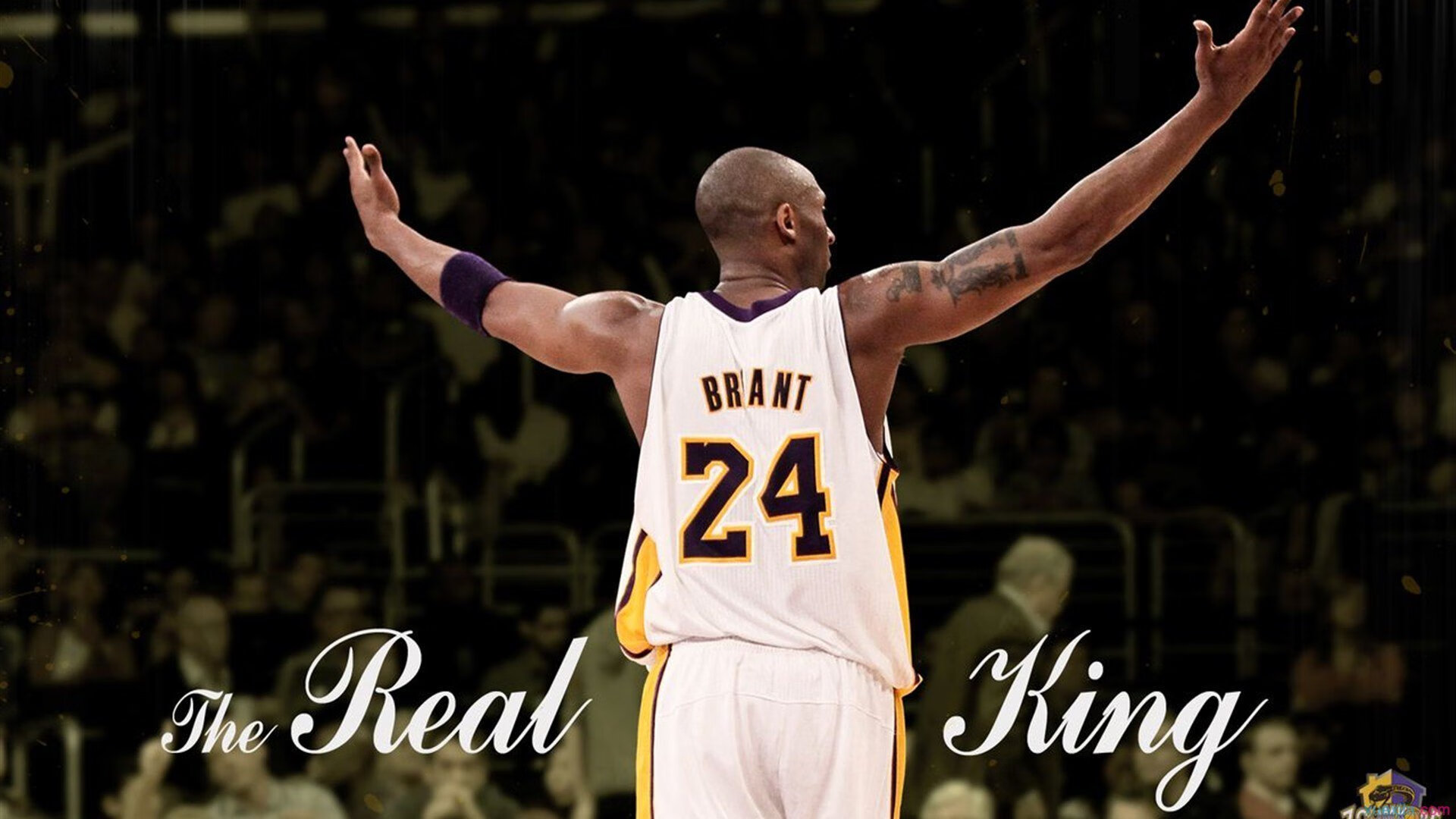 青少年体育指导员培训体系与认证机制建设，体育指导员培训方案